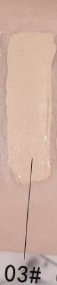 𝕿𝖍𝖊 𝕽𝖔𝖞𝖆𝖑 𝕮𝖔𝖚𝖗𝖙: Concealers